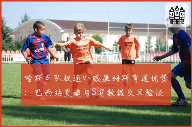 哈斯车队极速vs威廉姆斯弯道优势：巴西站直道与S弯数据交叉验证