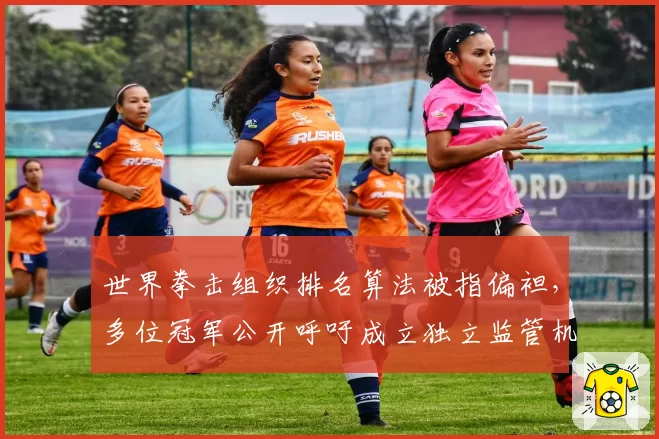 世界拳击组织排名算法被指偏袒，多位冠军公开呼吁成立独立监管机构