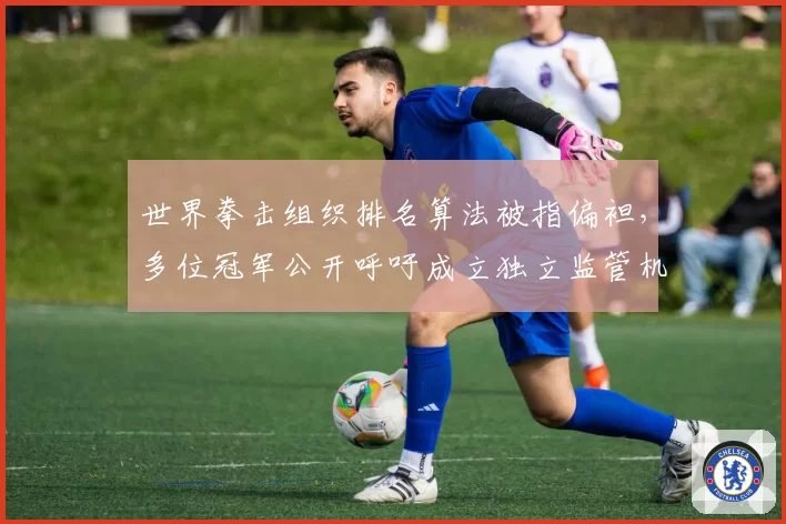 世界拳击组织排名算法被指偏袒，多位冠军公开呼吁成立独立监管机构