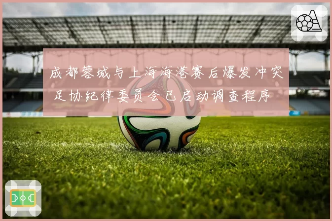 成都蓉城与上海海港赛后爆发冲突 足协纪律委员会已启动调查程序
