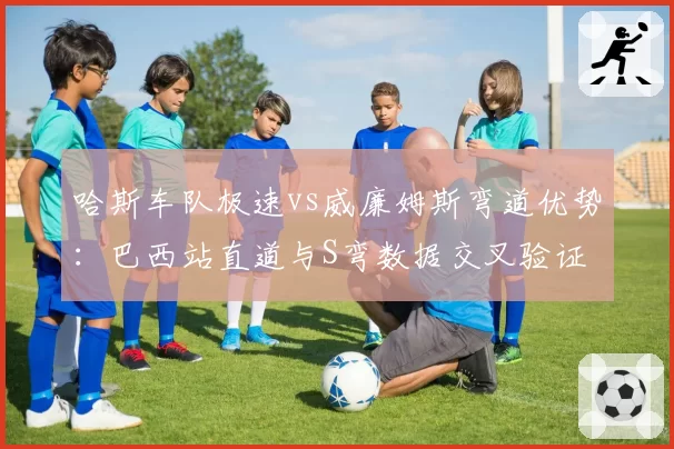 哈斯车队极速vs威廉姆斯弯道优势：巴西站直道与S弯数据交叉验证