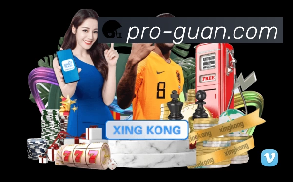 满冠体育赛事入口体系与导航结构